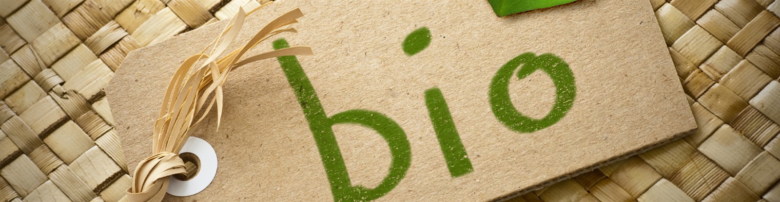 Bio